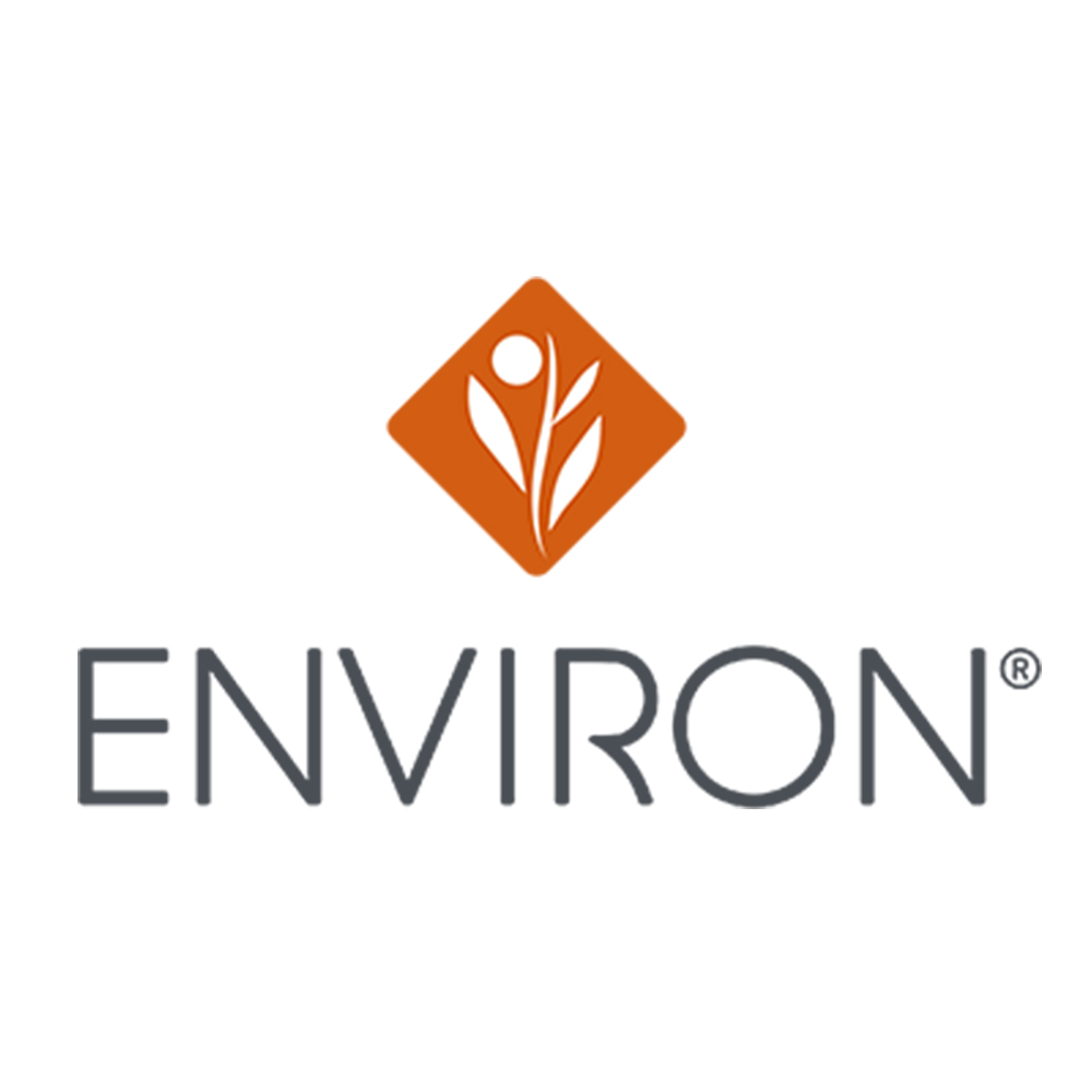 ENVIRON